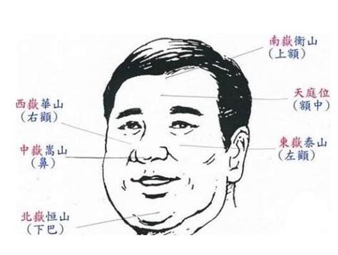 面相 年紀|面相看你是年輕有為還是中年轉運 